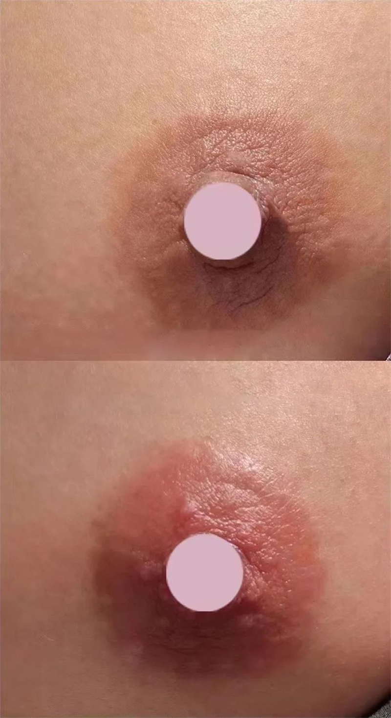 1667457567115255.jpg 8.jpg